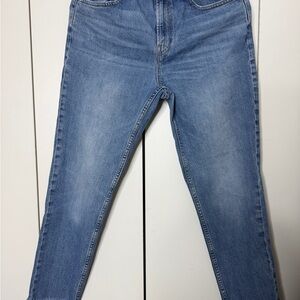 Everlane Women's The Curvy Cheeky Blue Jeans raw hem crop